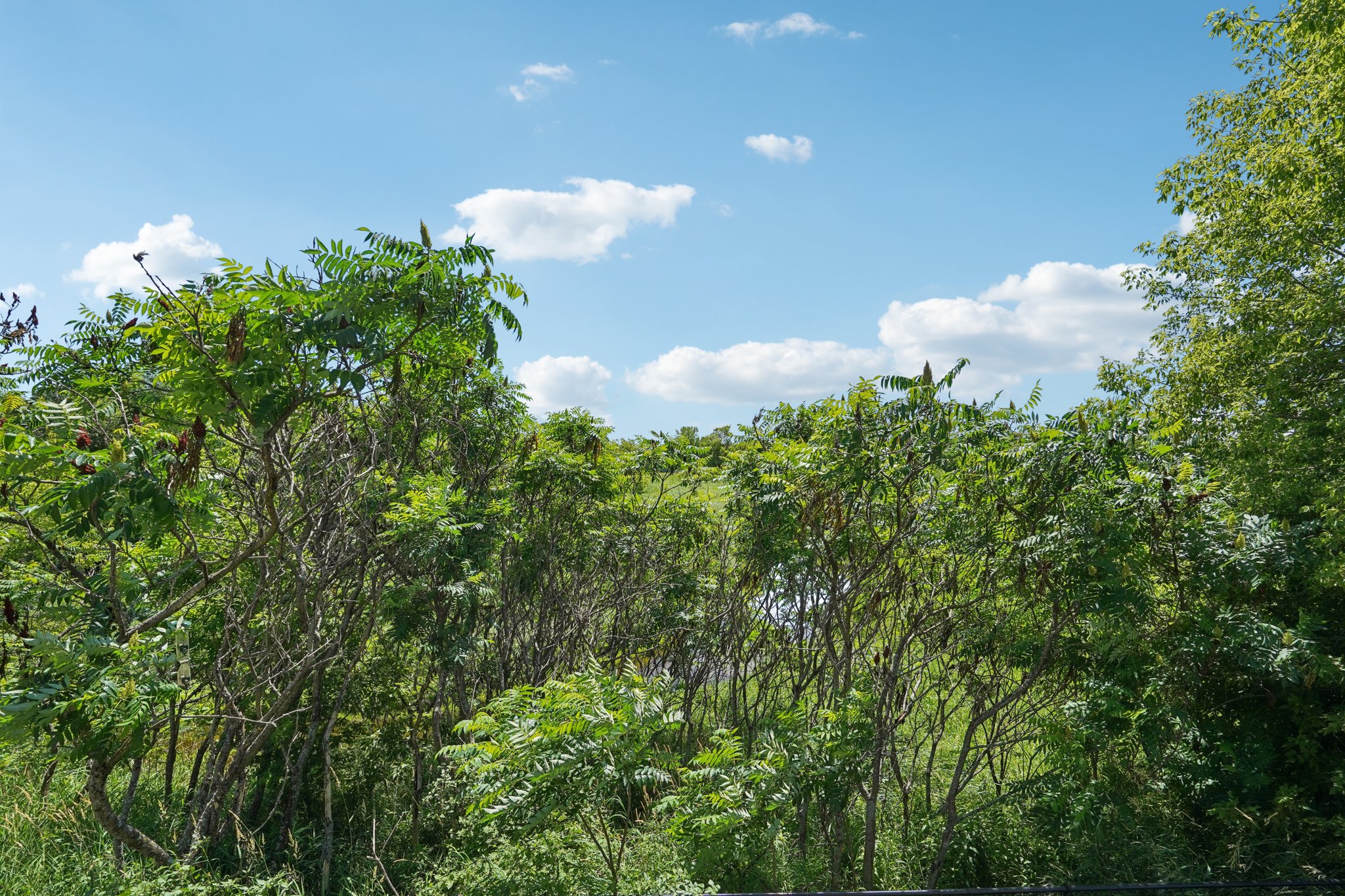 S Rush Creek Ln-S0107-012.jpg