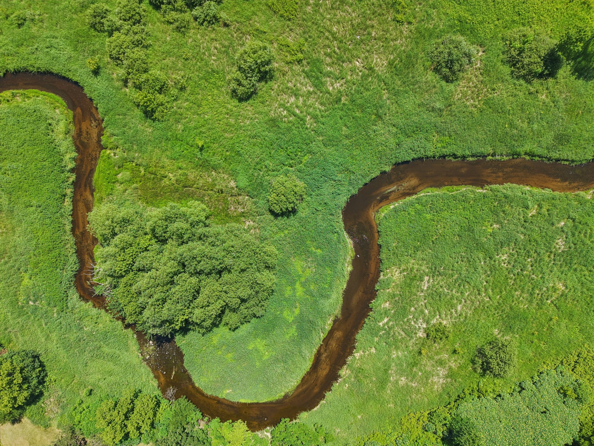 S Rush Creek Ln-S0107-023.jpg