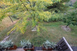  Photo 59