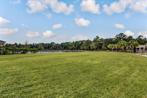 Bartram Park Preserve