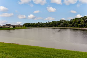 Bartram Park Preserve