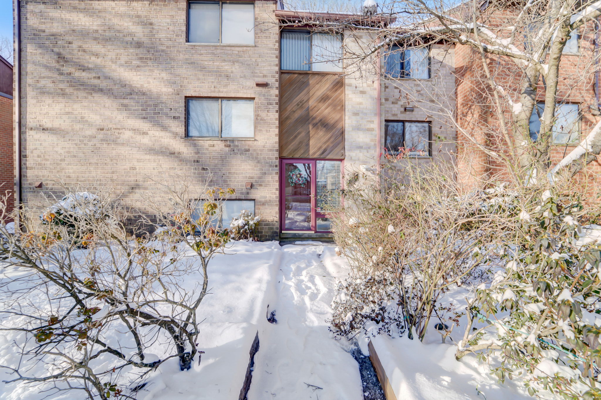 Winter Rose Path-003
