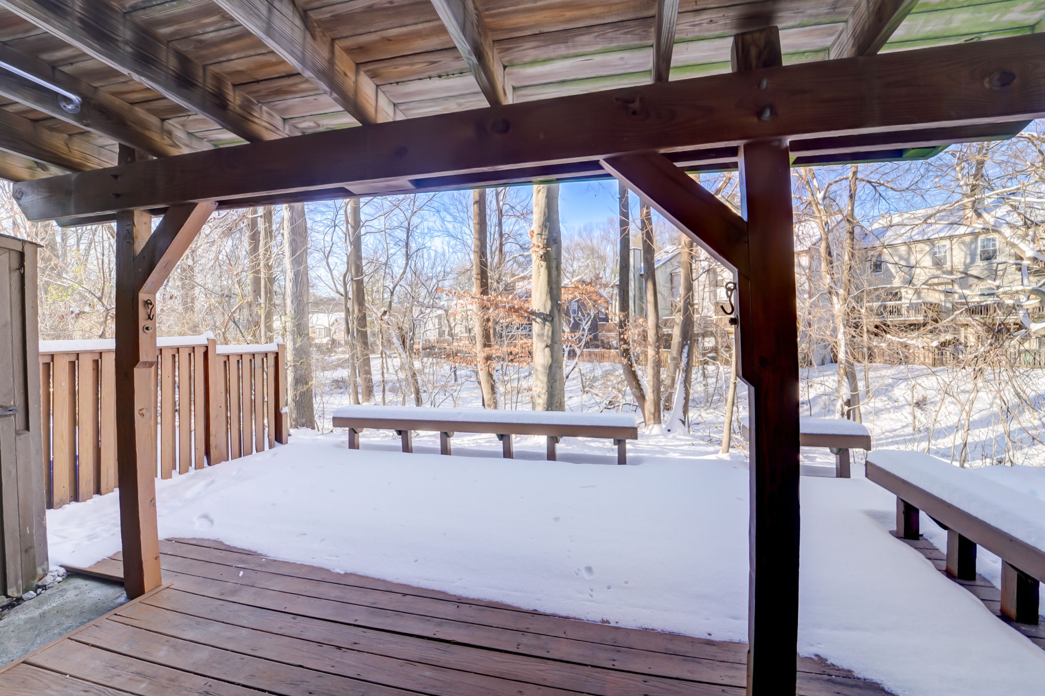 Winter Rose Path-031