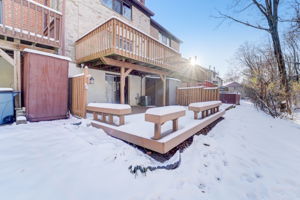 Winter Rose Path-033