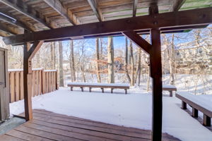 Winter Rose Path-031