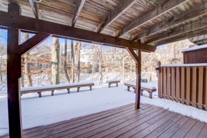 Winter Rose Path-032