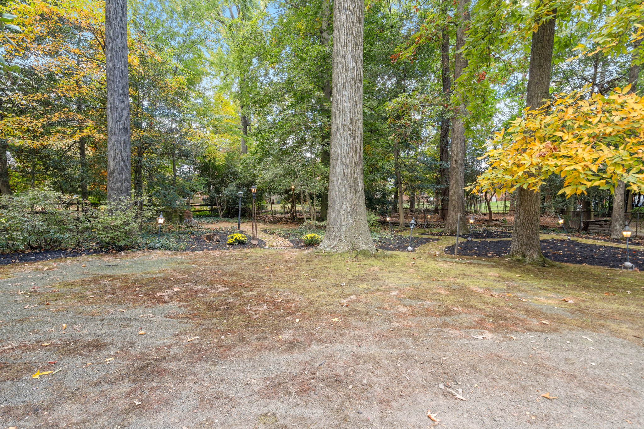 Rear Yard with Mature Trees