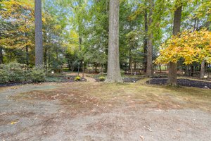 Rear Yard with Mature Trees