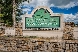 50-Sherman Hills Entry