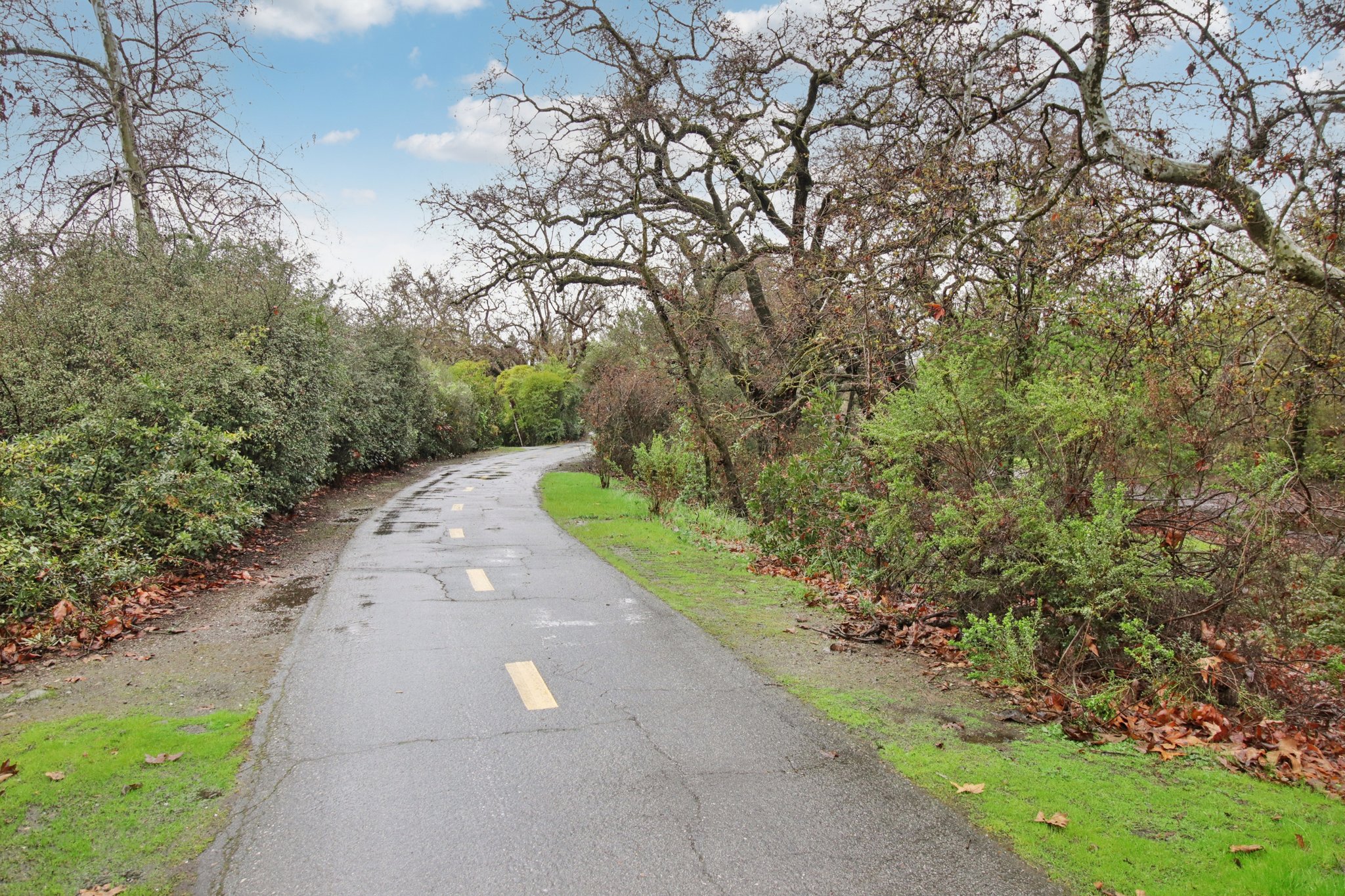 Brooktree Way-1702-905.jpg