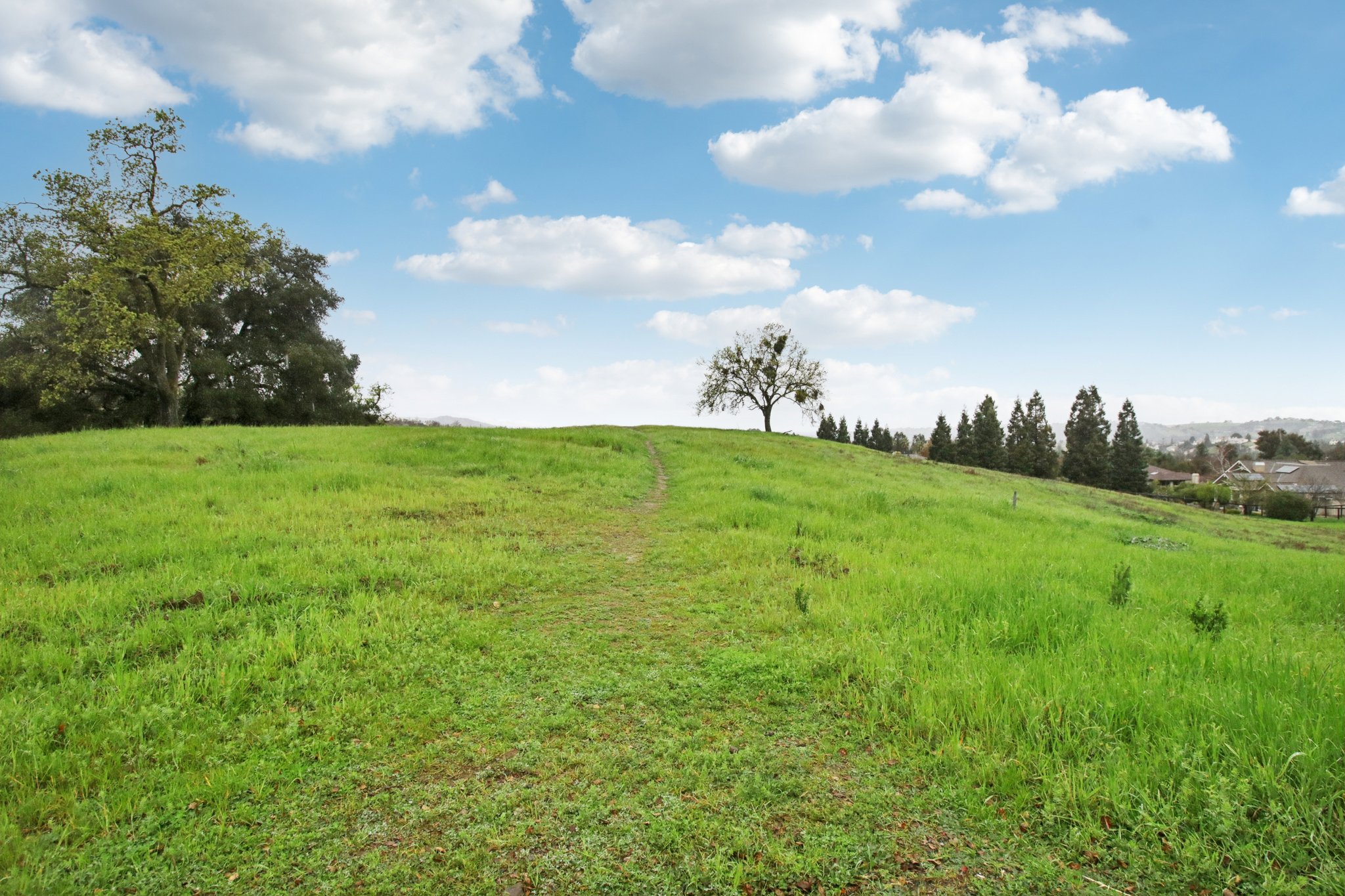 Brooktree Way-1702-910.jpg