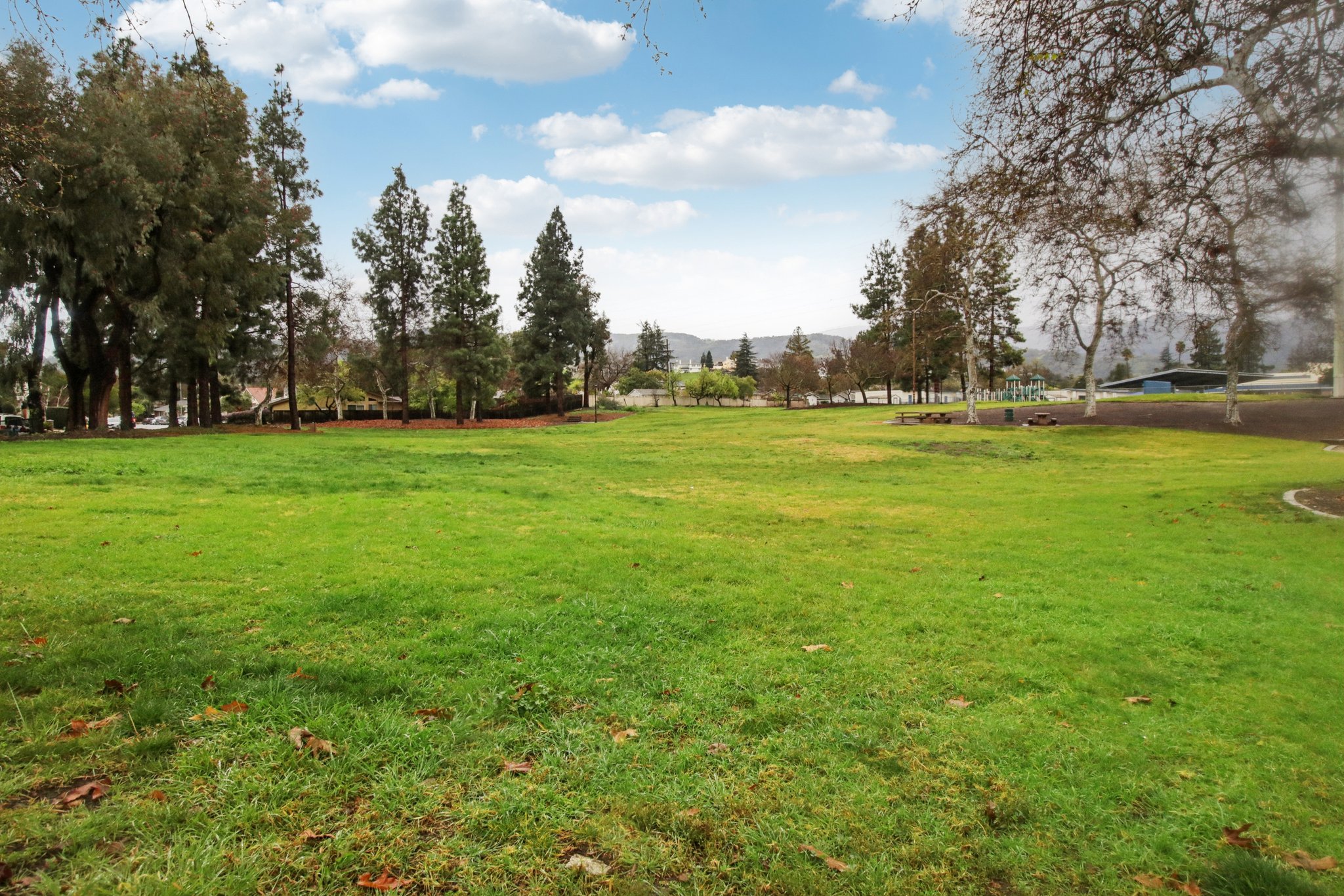 Brooktree Way-1702-911.jpg