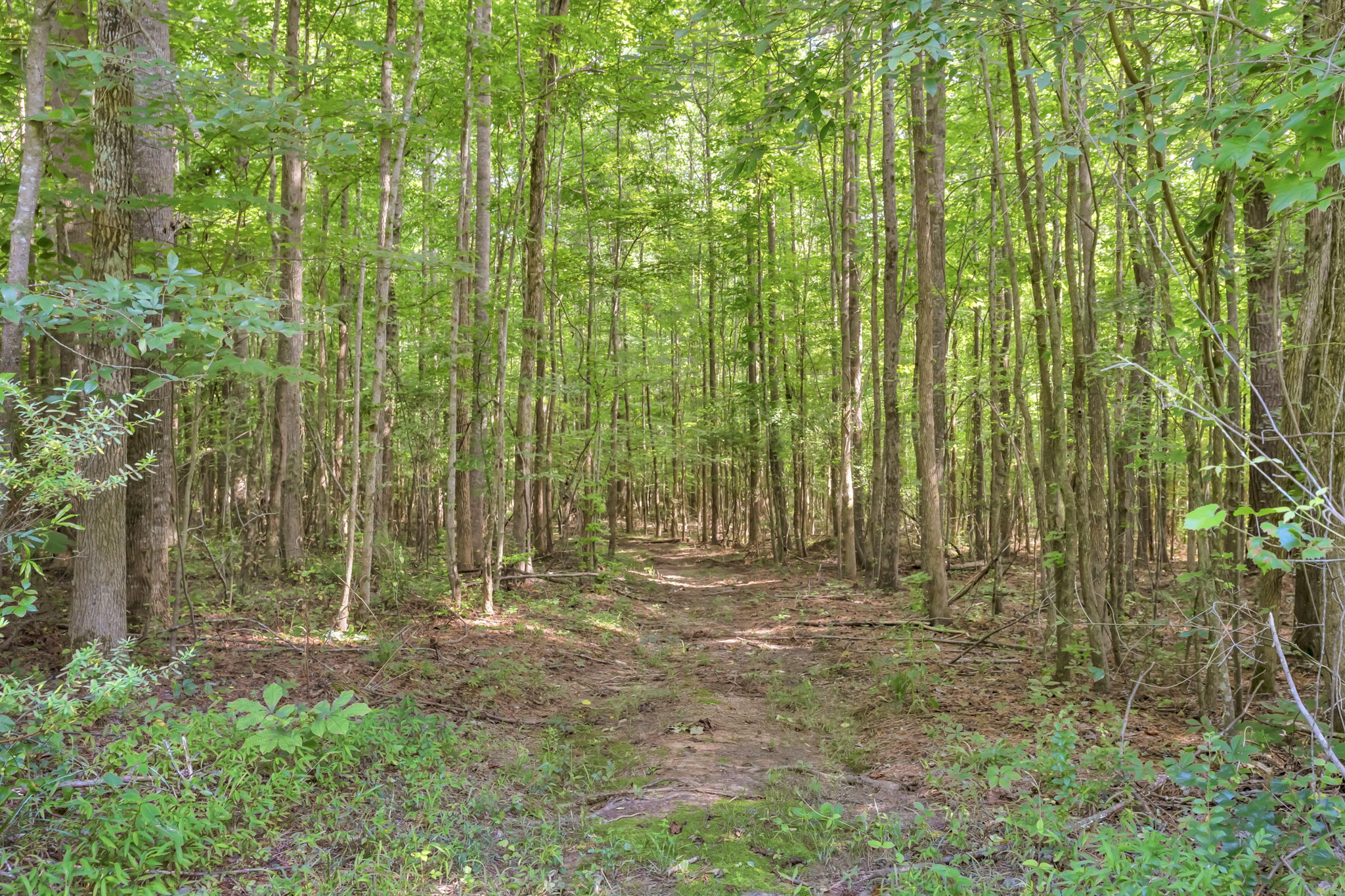  7109 New Town Road, Waxhaw, NC 28173, US Photo 29