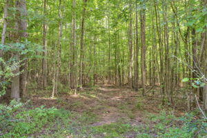  7109 New Town Road, Waxhaw, NC 28173, US Photo 28