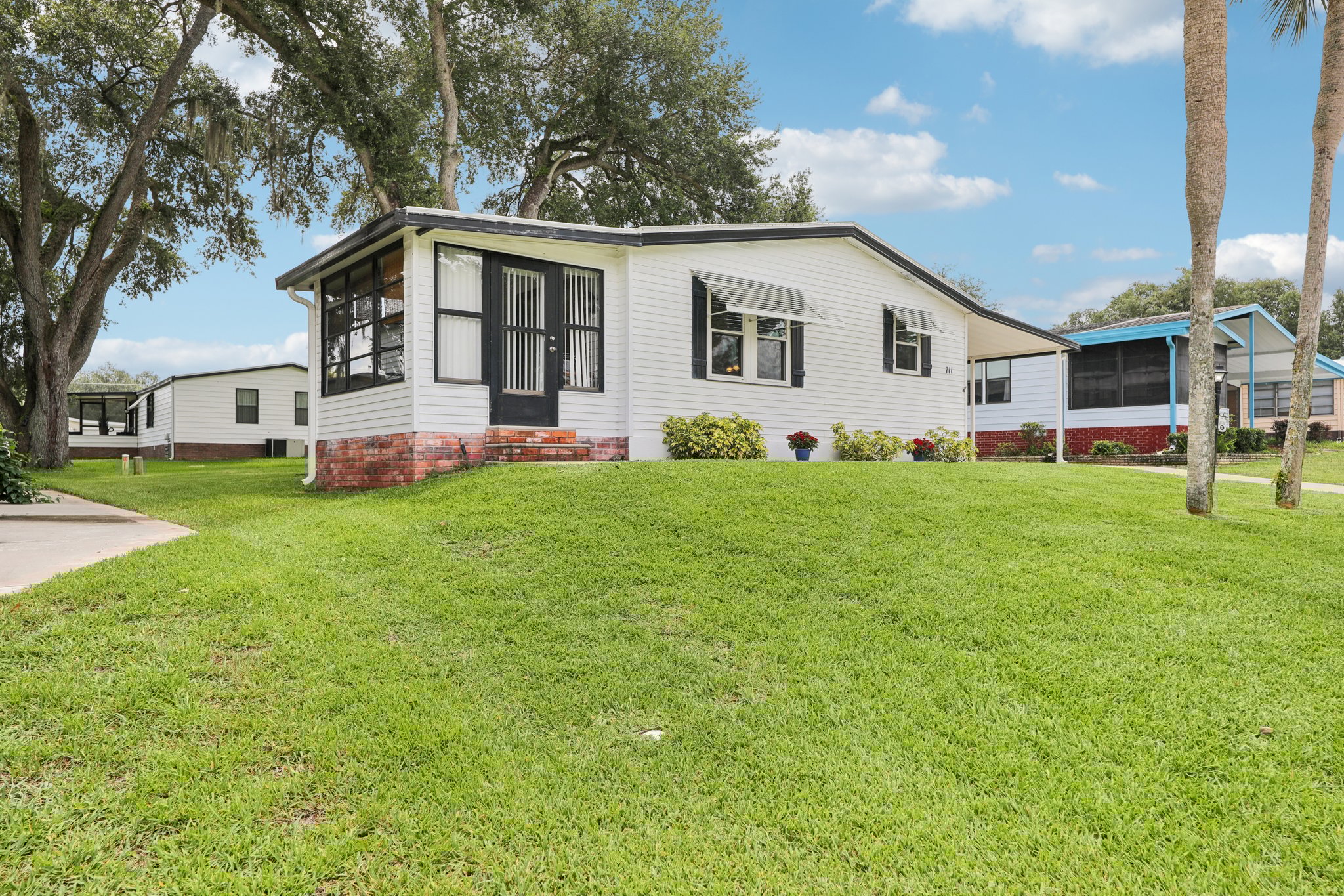 Camelia Ct-S0807-007.jpg