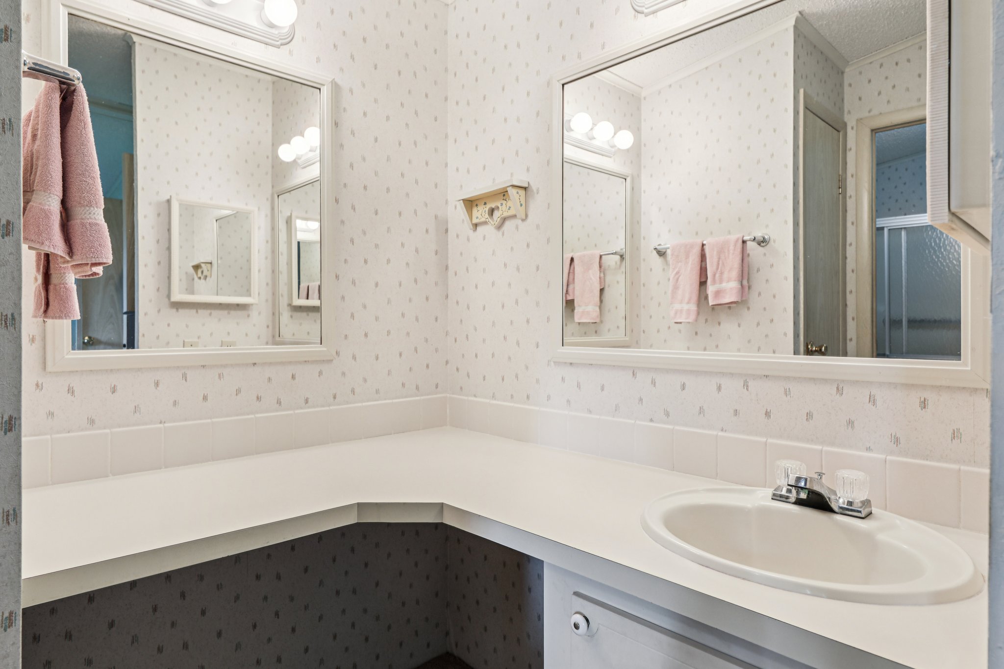 Camelia Ct-S0807-025.jpg