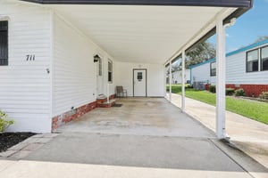 Camelia Ct-S0807-006.jpg