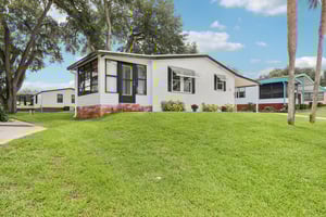 Camelia Ct-S0807-007.jpg