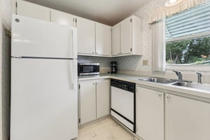 Camelia Ct-S0807-016.jpg