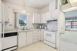 Camelia Ct-S0807-017.jpg