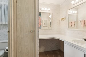 Camelia Ct-S0807-026.jpg