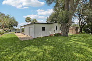 Camelia Ct-S0807-032.jpg