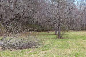 Image-50
