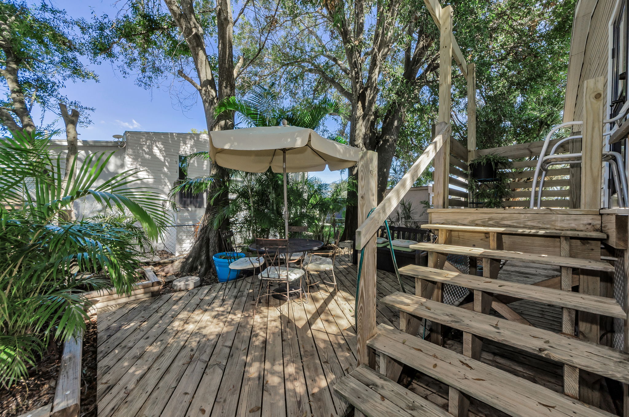 Backyard 1