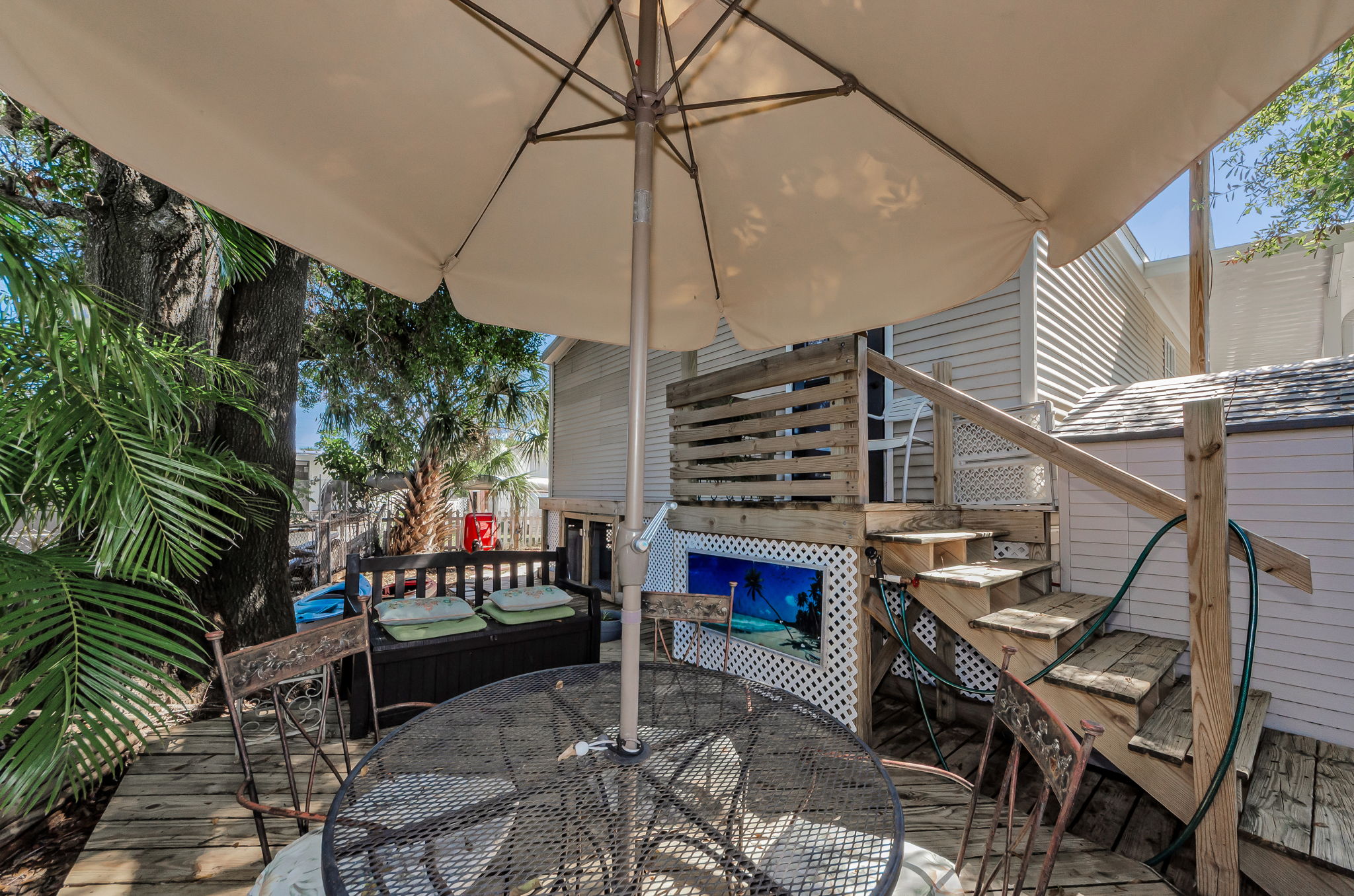 Backyard 2
