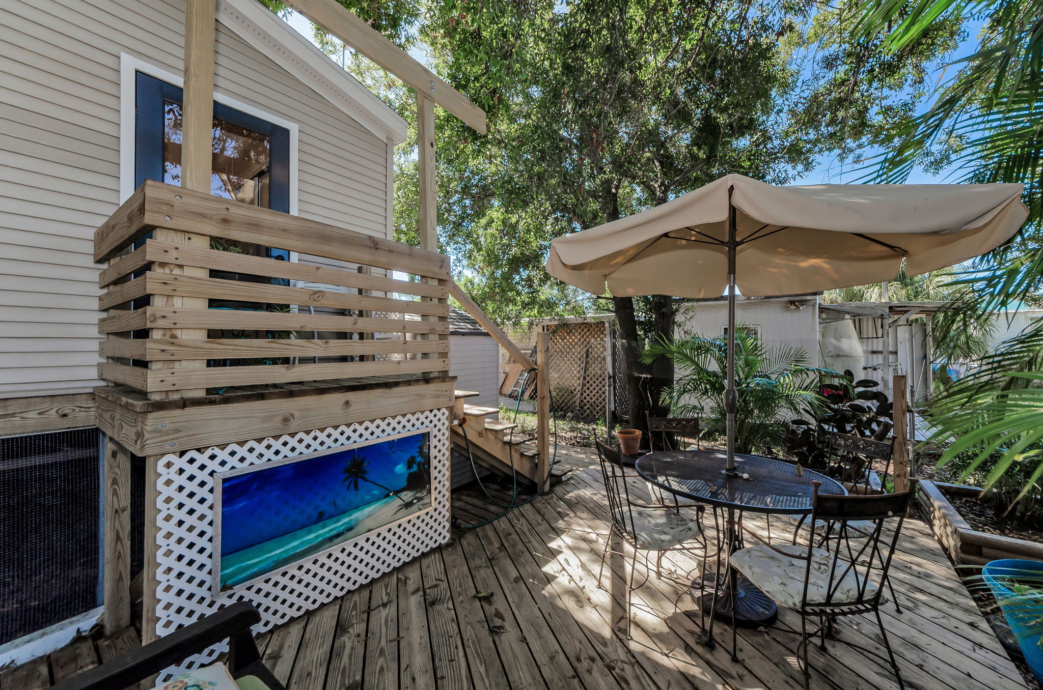 Backyard 4