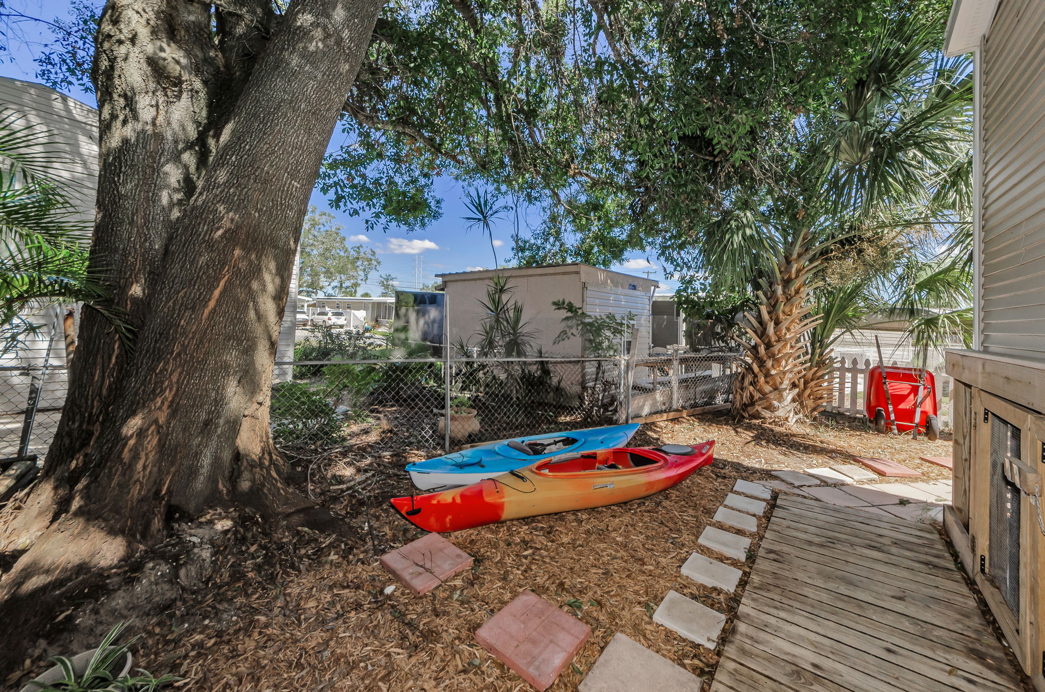 Backyard 5