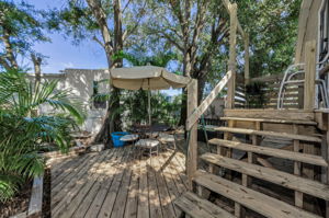 Backyard 1