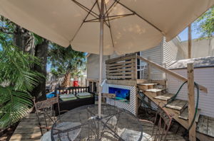 Backyard 2