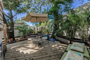 Backyard 3