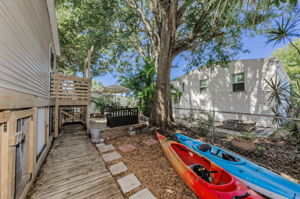 Backyard 6
