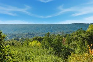 711 W California Way, Woodside, CA 94062, USA Photo 25