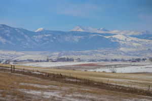  Photo 50
