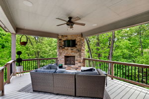  Photo 48