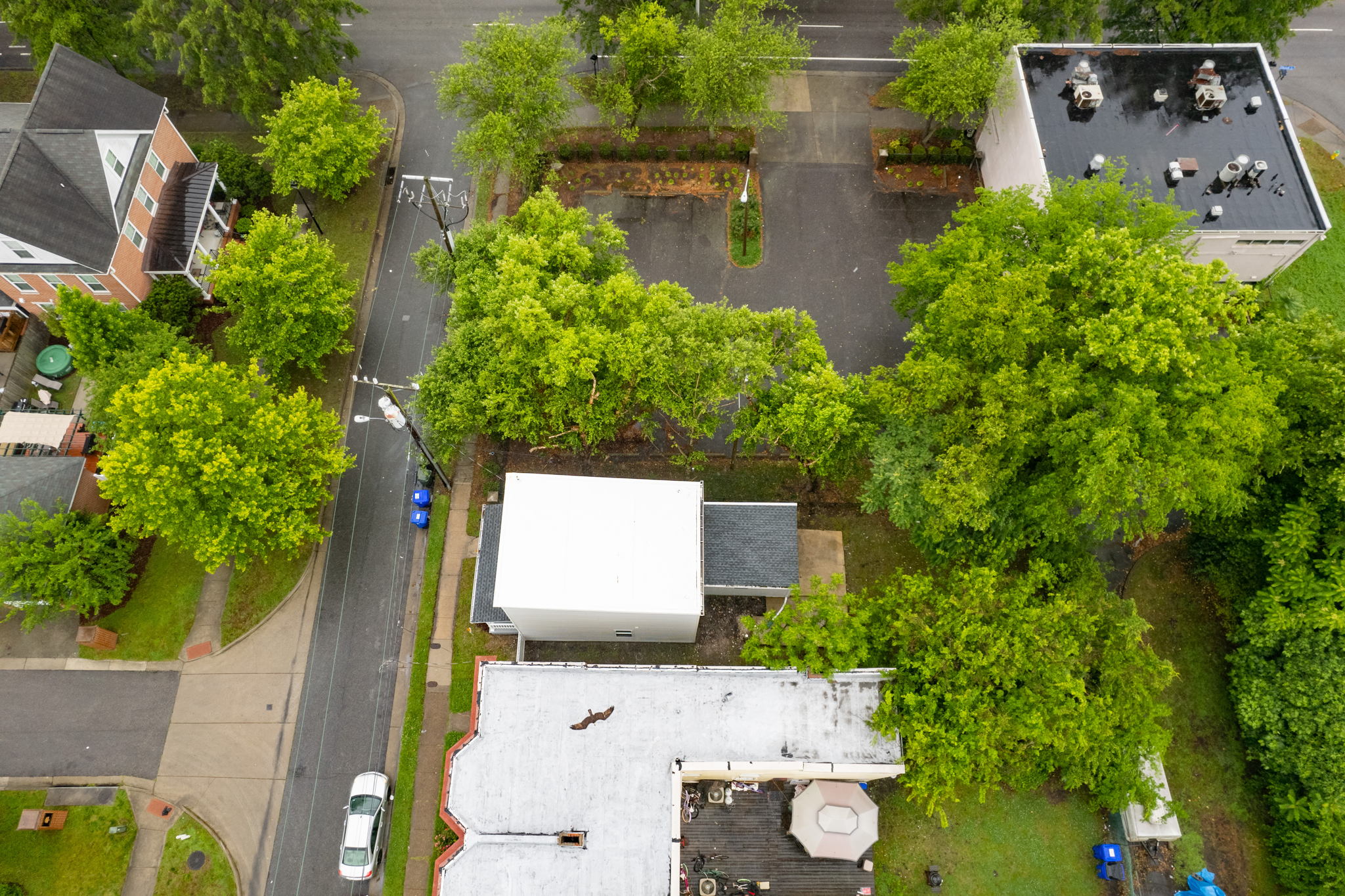 712 Lexington St, Norfolk, VA 23504, USA Photo 8