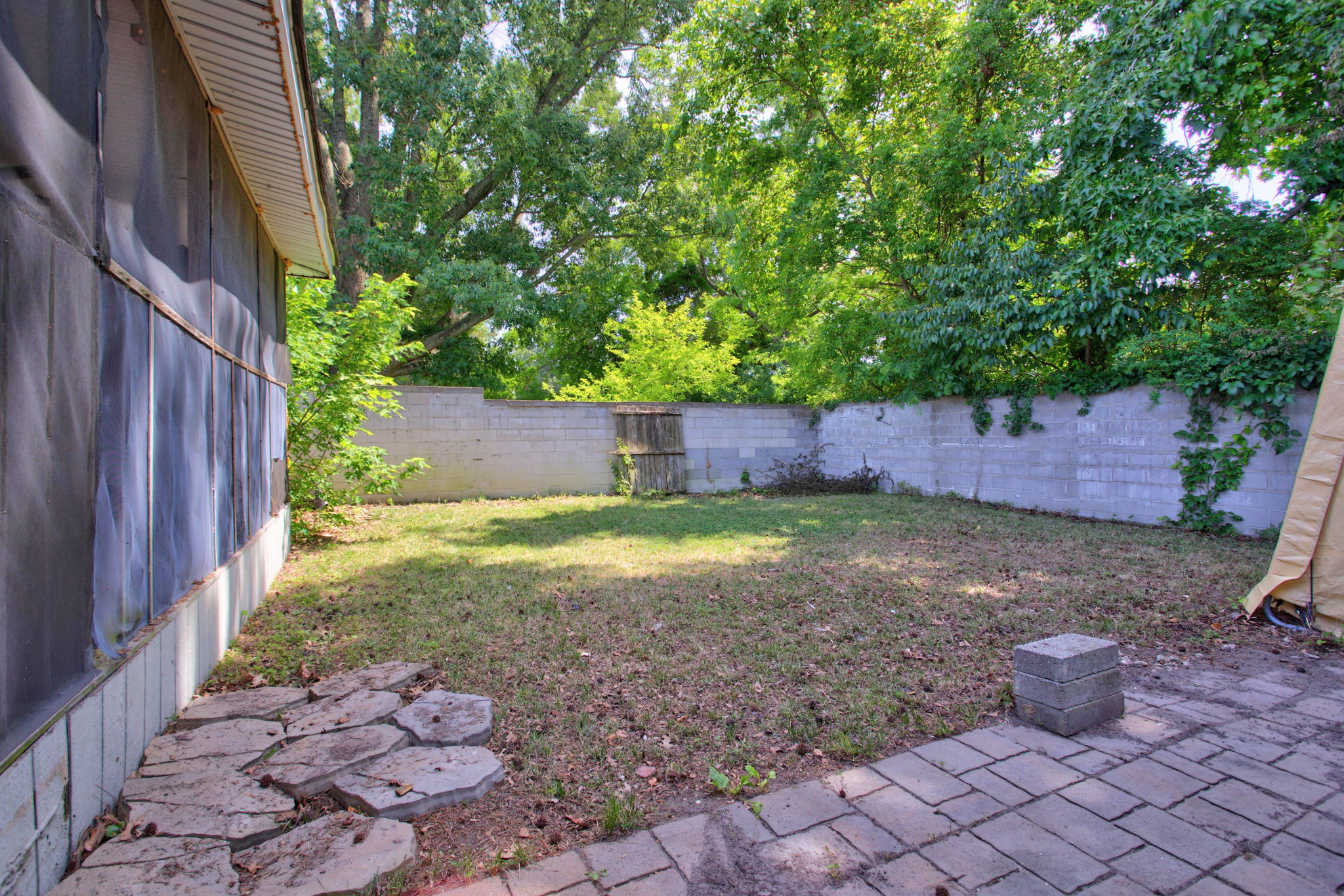  Photo 49