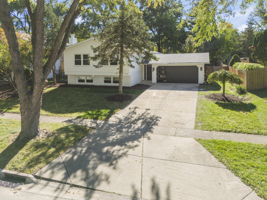  Photo 43