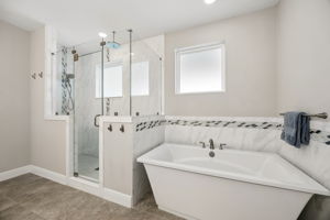 Owner's Bath