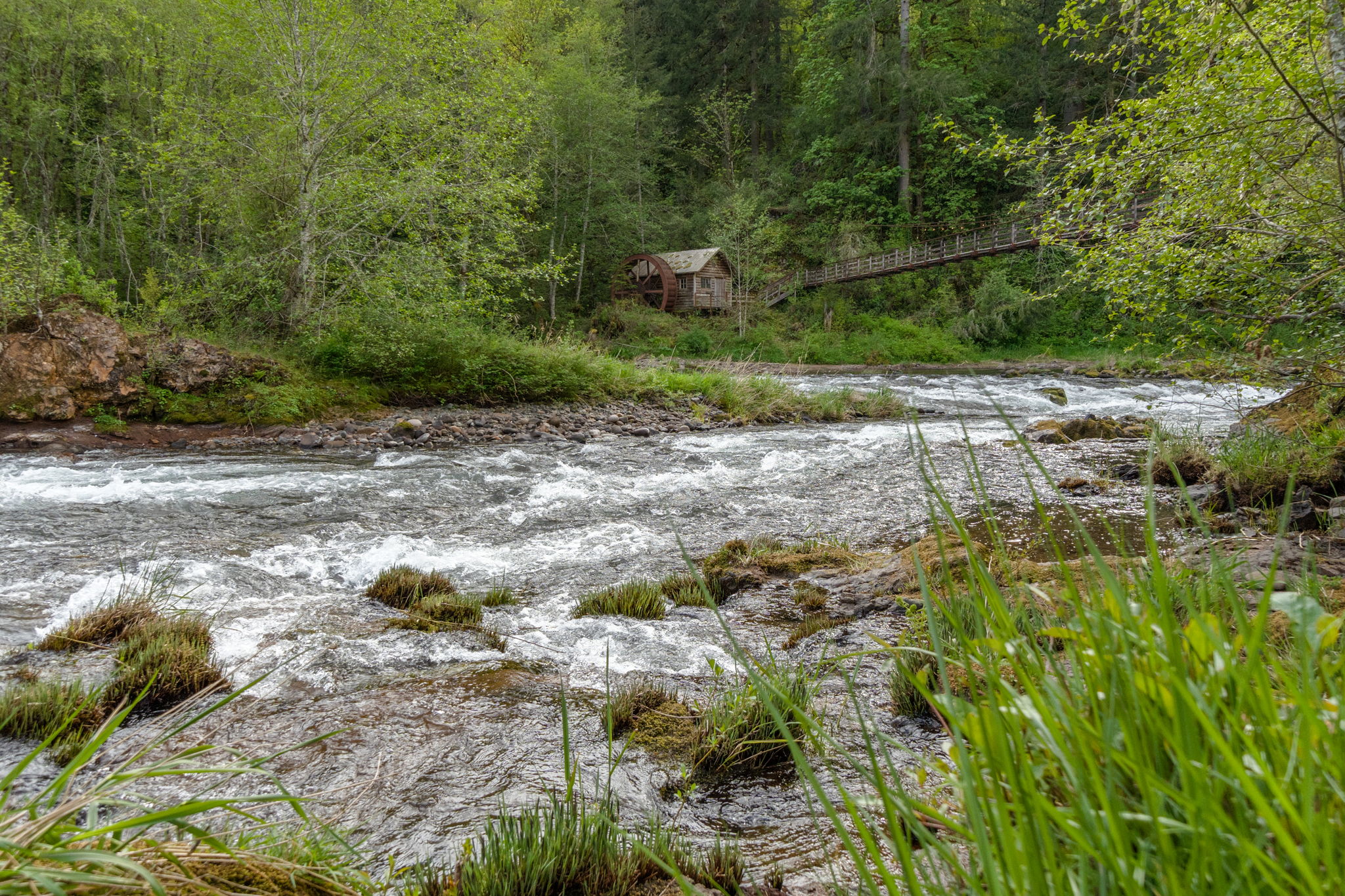  Photo 51
