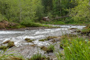  Photo 50
