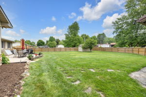  Photo 47