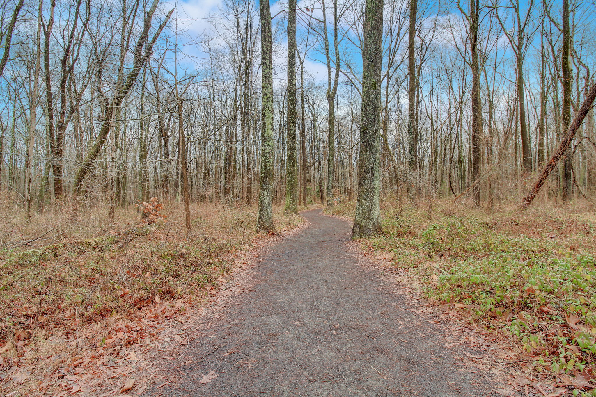 Huntley Creek Place-084