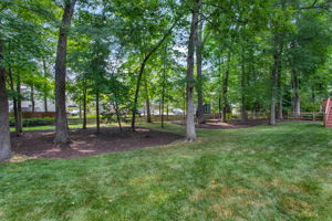 32-Backyard