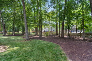 33-Backyard