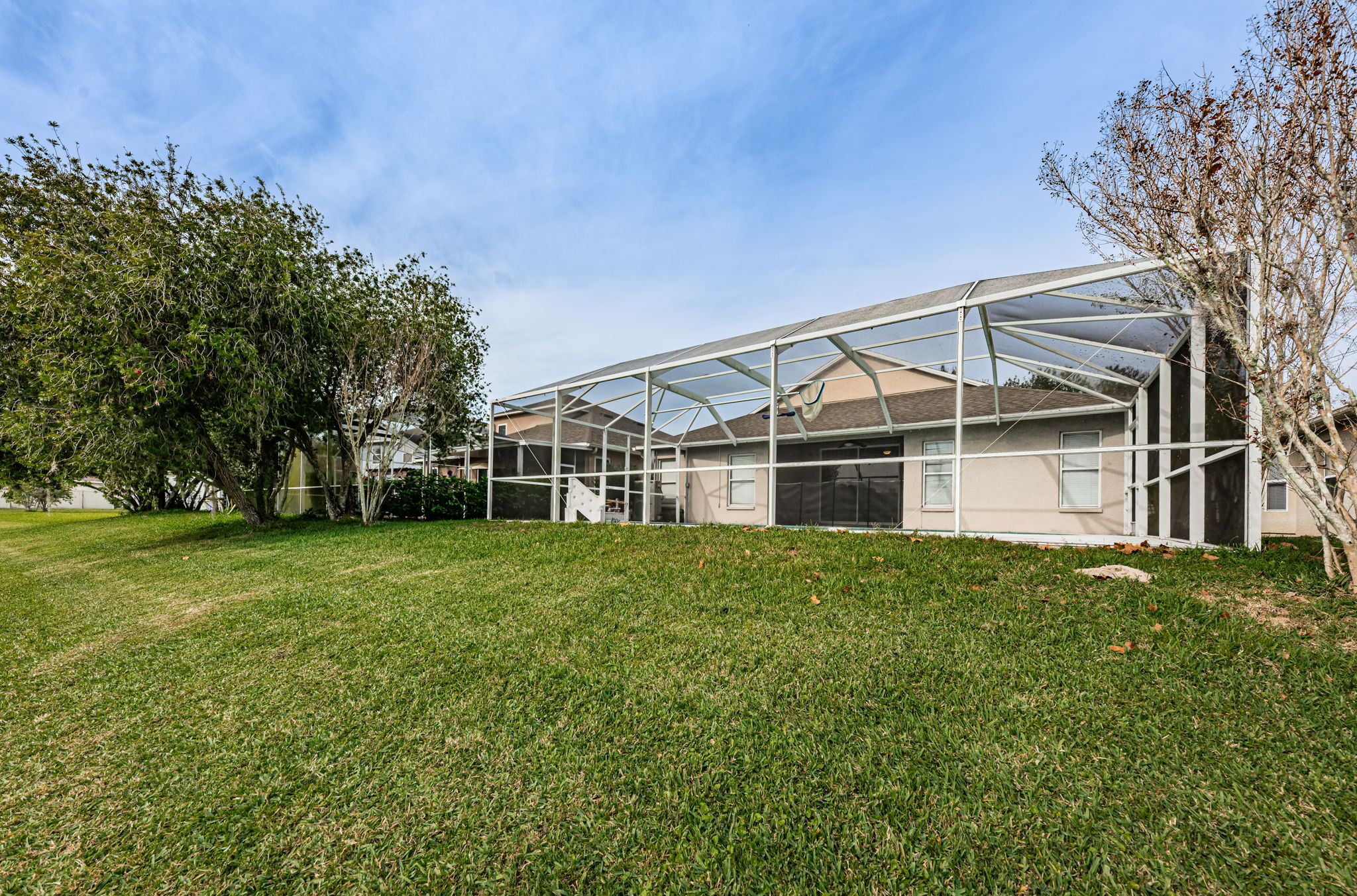 Backyard3