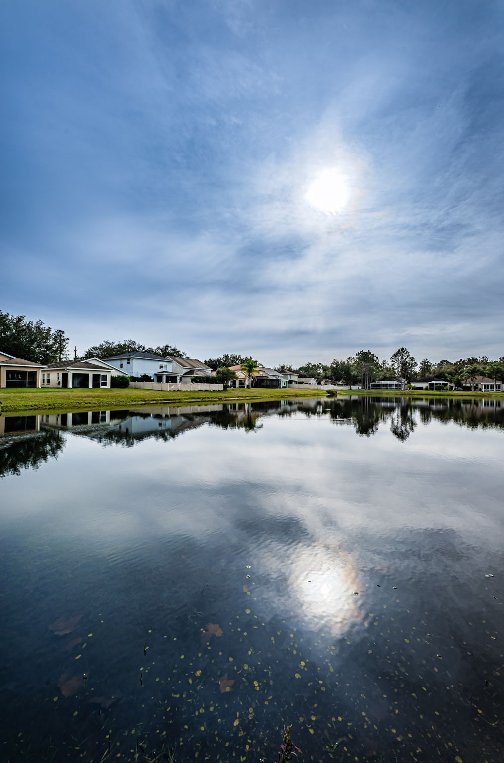 Water View2
